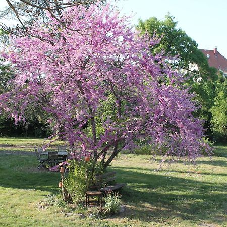 Aux Berges De La Thur Staffelfelden Экстерьер фото